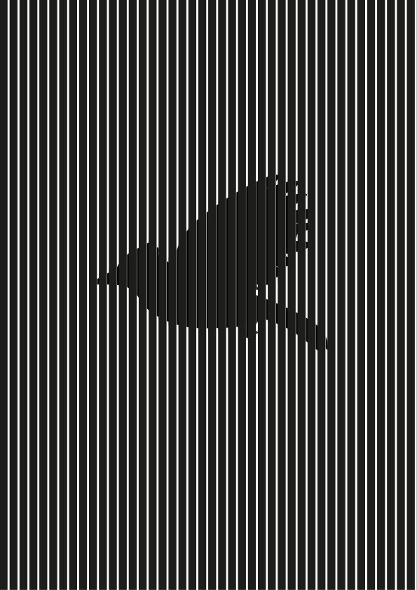 Opdracht Illustrator/Photoshop: Moiré Animated Gif.